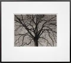 Study of Brooklyn Tree by Robert Longo, 2016, ink and charcoal on vellum, in artist's frame, sold Nov 2019