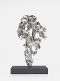 Zhan Wang, Artificial Rock No. 161