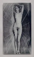 Man Ray, Nu bleuté (Blue Nude), 1970-71, Screenprint on acrylic