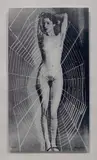 Man Ray, Nu bleuté (Blue Nude), 1970-71, Screenprint on acrylic