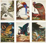 Walton Ford, Swadeshi-cide, 1998; La Historia Me Absolvera, 1999; Benjamin's Emblem, 2000; Tale of Johnny Nutkin, 2001; Compromised, 2003; and Visitation, 2004, The complete series of six etchings in colors, on Somerset Satin paper, with full margins