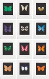 Butterfly Etchings by Damien Hirst, 2009, The complete set of 12 etching and aquatints in colors, on wove paper, with full margins, the sheets loose (as issued) c, sold Apr 2019