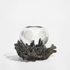 Michele Oka Doner, "Ocean Reef" bowl, 2011, Patinated bronze, acid-etched glass