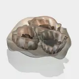 Eight-Piece "Seaform Set" by Dale Chihuly, 1982, Blown glass, sold Feb 2024