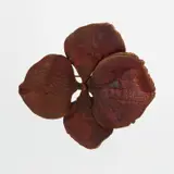 Claude Lalanne, "Hortensia" brooch