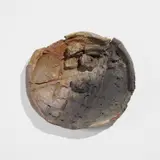 Peter Voulkos, Plate