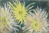 John Button, Spider Mums, 1982, pastel on paper