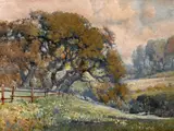 Percy Gray, California oaks