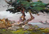 Si Chen Yuan, Coastal Cypress