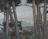 Si Chen Yuan, Monterey Bay through the trees