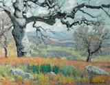 Maurice Braun, The oak