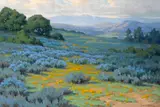 John Marshall Gamble, Santa Barbara landscape
