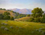 David Chapple, Evening light