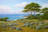 David Chapple, Land and sea