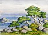 Birger Sandzén, Cedars by the sea, Carmel, California