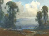(n & a) Percy Gray, Marin County Eucalyptus, 1926, watercolor on paper