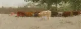 (n & a) Charles Franklin Reaugh, Cattle grazing, pastel on card