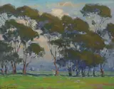 John Marshall Gamble, A grove of trees, believed to be near Madera, California