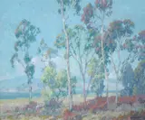 Maurice Braun, Back Bay, San Diego