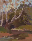 Marion Wachtel, Oaks along a stream