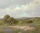 Porfirio Salinas, Texas wildflowers