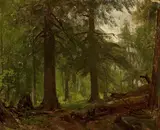 George Hetzel, Forest interior