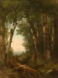 Asher Brown Durand, View through the woods, oil on canvas laid to masonite