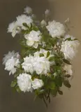 Raoul M. de Longpre, White roses