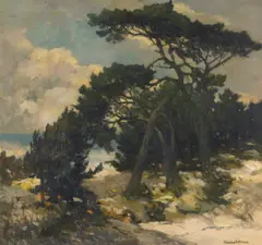Thomas McGlynn, Cypress along the coast, oil on canvas