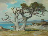 Frank Harmon Myers, Carmel, oil on masonite