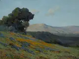 John Calvin Perry, California poppies and lupine on a hillside, oil on canvas