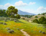 David Chapple, Santa Ynez Spring