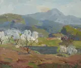 Dana Bartlett, California springtime
