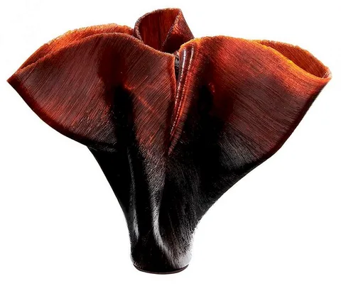 Toots Zynsky, Untitled, 2009, fused and thermoformed red glass threads ([Filet-de-Verre])