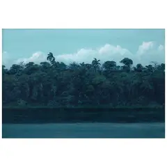 Carlos Rios, Untitled, Óleo sobre papel