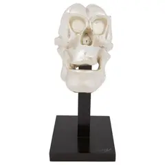José Sacal, Gazne, de la serie Calaveras, Escultura en resina con baño de plata en base de madera
