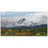 Pico de Orizaba by Pedro Diego Alvarado, 2017, Óleo sobre tela, offered Nov 2024