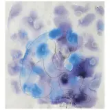 Sergio Hernández, Untitled