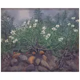 Nicolás Moreno, Untitled