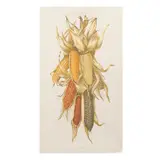 Juan Calderón, Para esquites, atoles y pinoles, Serigrafía P / T