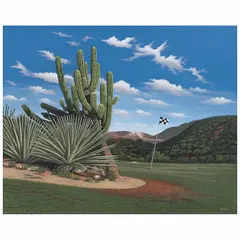 René Martín, Desierto de Los Cabos, Acrílico sobre tela