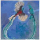 Carmen Parra, Quetzal de la serie Aves