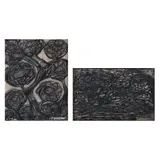 David Alfaro Siqueiros, a) Flores, Lápiz de color sobre papel