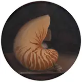 Benjamín Domínguez, Untitled, Óleo sobre cartón