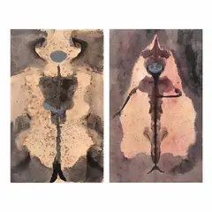 Remedios Varo, a)Personaje perchero, ca. 1960, Tinta y gouache sobre cartulina