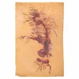 Remedios Varo, Personaje liquen