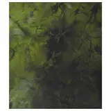 Rafael Coronel, Sin título, de la serie Biombos tropicales, Acrílico sobre papel sobre tabla