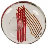 Seguso, Arte Vetro Murano Glass Sculpture