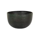 Laura Andreson, Bowl