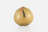 Untitled (With Rattle) by Toshiko Takaezu, sold Oct 2024